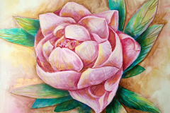 Peony