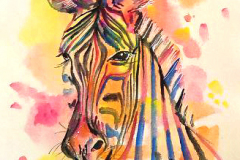 Zebra